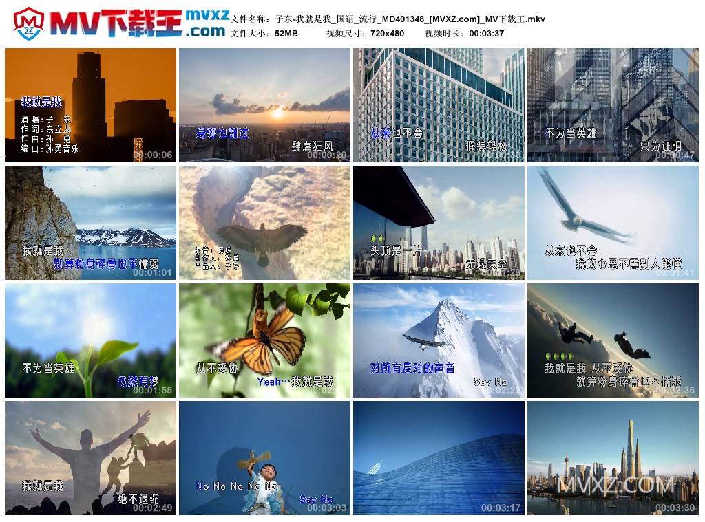 子东-我就是我_国语_流行_MD401348